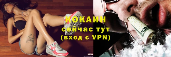 спайс Касимов