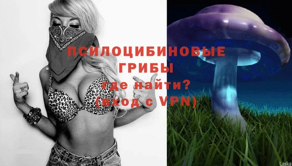 спайс Касимов