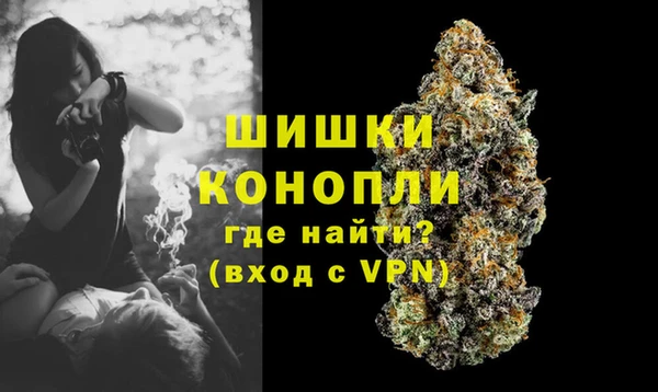 спайс Касимов