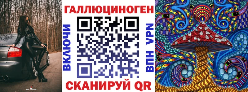 Купить закладки  Гаврилов-Ям  Псилоцибиновые грибы Psilocybe 